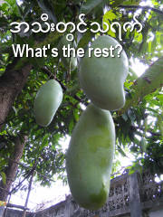 Burmese Proverbs